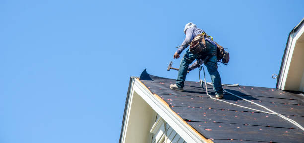 Best Roof Waterproofing Services  in Nixon, TX